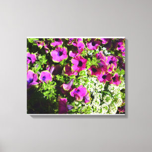 Lila Mum und weiße Blume Leinwanddruck