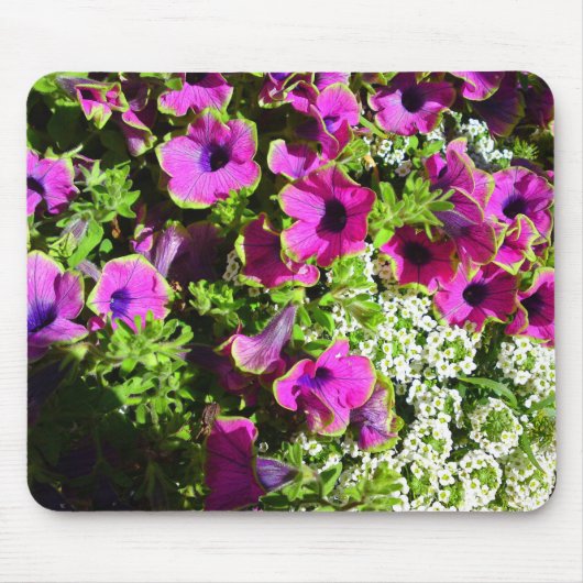 Lila Mum und weiße Blume Mousepad (Vorne)