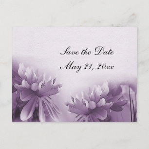 Lila Mums Postkarte - Save the Date