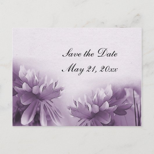 Lila Mums Postkarte - Save the Date (Vorderseite)