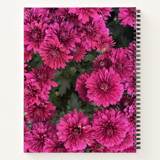 Lila Mums SpiralNotebook Notizblock (Rückseite)