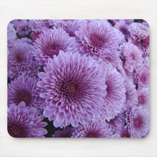 Lila Mums the Word! Mousepad (Vorne)