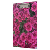 Lila Mums-Zwischenablage Klemmbrett (Links)