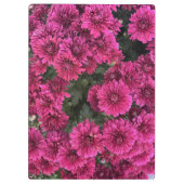 Lila Mums-Zwischenablage Klemmbrett (Rückseite)