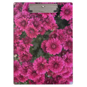 Lila Mums-Zwischenablage Klemmbrett (Vorderseite)