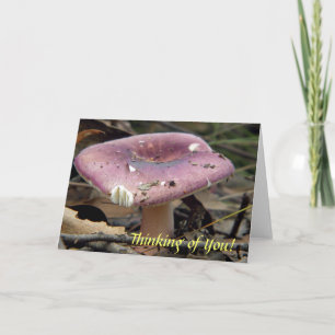 Lila Mushroom-Grußkarte Karte