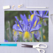 Lila N Gelbe Iris Seidenpapier (Handwerk)