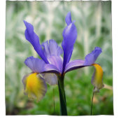 Lila N Gold Iris II Duschvorhang (Vorderseite)