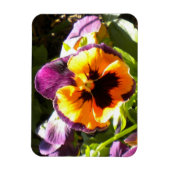Lila N-Gold-Pansy-Magnet Magnet (Vertikal)