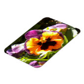 Lila N-Gold-Pansy-Magnet Magnet (Linke Seite)
