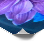 Lila N Türkise Daisies Poster (Ecke)