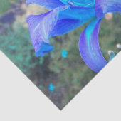 Lila N Türkisfarbene Taglilie Seidenpapier (Ausschnitt)