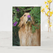 Lila Nase Karte (Gelbe Blume)