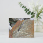 Lila Naturfotografie Postkarte (Stehend Vorderseite)