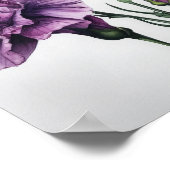 Lila Nelken Blume Art Print Poster (Ecke)