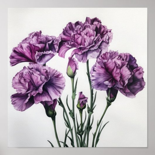Lila Nelken Blume Art Print Poster (Vorne)