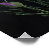 Lila Nelken Blume Art Print Poster (Ecke)