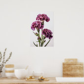 Lila Nelken Blume Art Print Poster (Küche)