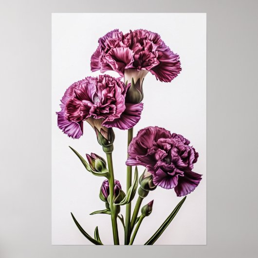 Lila Nelken Blume Art Print Poster (Vorne)