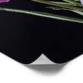 Lila Nelken Blume Art Print Poster (Ecke)