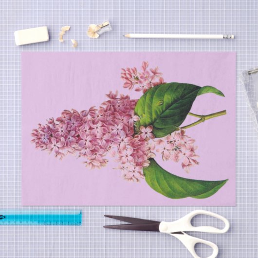 Lila Niederlassung botanisches 10" X 15" Seidenpapier (Handwerk)