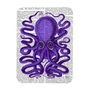 Lila Oktopus Magnet