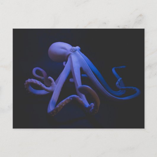 Lila Oktopus Postkarte (Vorderseite)