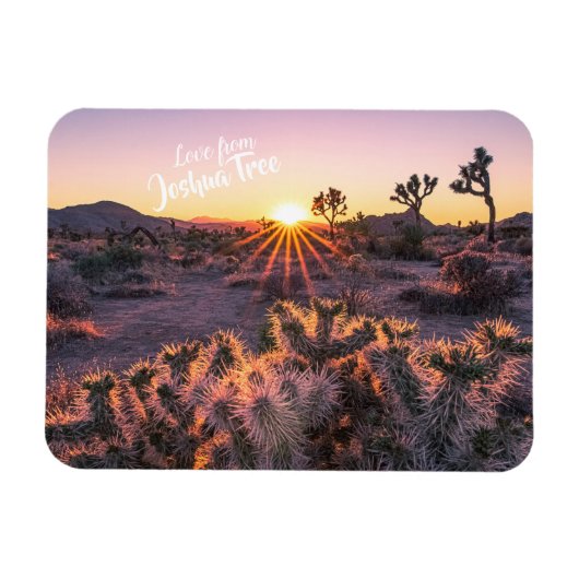 Lila Orange Cholla Cactus Joshua Tree Sunset Magnet (Horizontal)