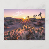 Lila & Orange Cholla Cactus Joshua Tree Sunset Postkarte (Vorderseite)