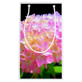 Lila-orangefarbene Hydrangeas Kleine Geschenktüte