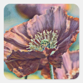 Lila-orangefarbene Mohnblüten Blume Aquarell Quadratischer Aufkleber