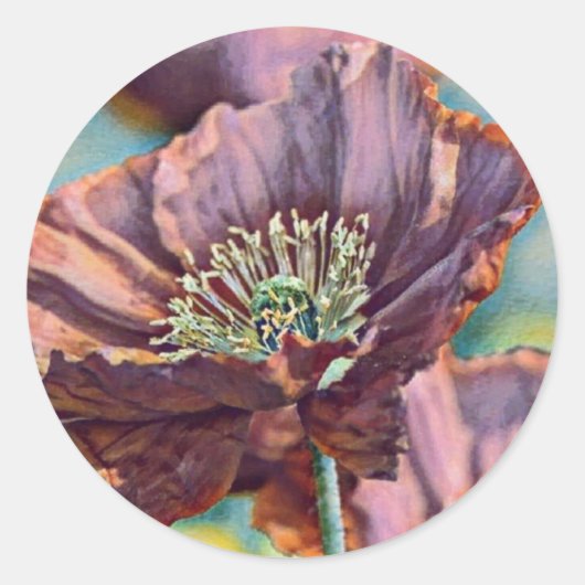 Lila-orangefarbene Mohnblüten Blume Aquarell Runder Aufkleber (Vorderseite)
