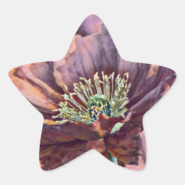 Lila-orangefarbene Mohnblüten Blume Aquarell Stern-Aufkleber