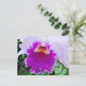 Lila Orchid Bloom Postkarte (Stehend Vorderseite)