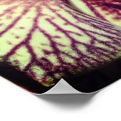 Lila Orchid-Blume Nah Poster (Ecke)