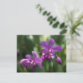 Lila Orchid-Blume Postkarte (Stehend Vorderseite)
