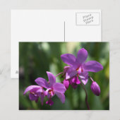 Lila Orchid-Blume Postkarte (Vorne/Hinten)