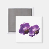 Lila Orchid Duo Magnet (Vorderseite/Rückseite)