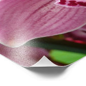 Lila Orchid Elegante Fotodruck (Ecke)