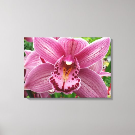 Lila Orchid Elegante Leinwanddruck (Vorderseite)