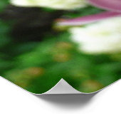Lila Orchid Elegante Poster (Ecke)