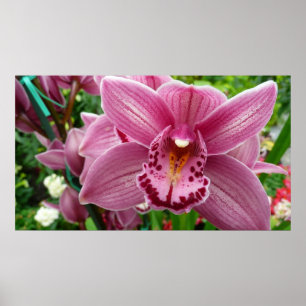 Lila Orchid Elegante Poster