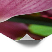 Lila Orchid Elegante Poster (Ecke)