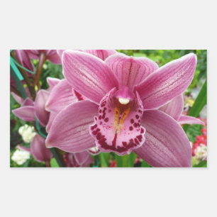 Lila Orchid Elegante Rechteckiger Aufkleber