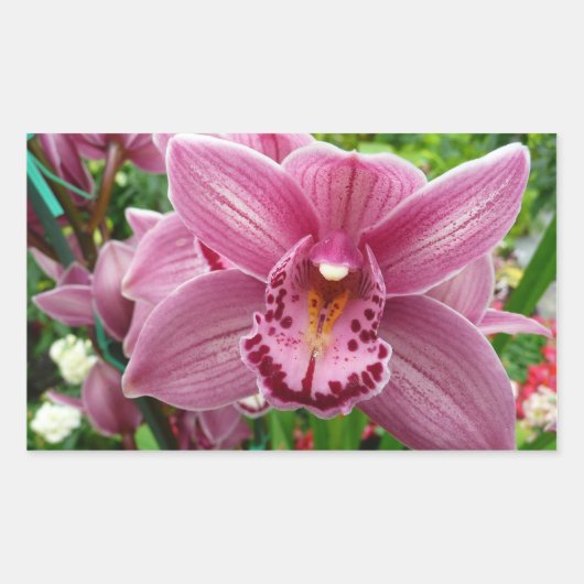 Lila Orchid Elegante Rechteckiger Aufkleber (Vorderseite)