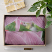 Lila Orchid Elegante Seidenpapier (Geschenk)