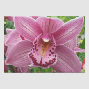 Lila Orchid Elegante Seidenpapier