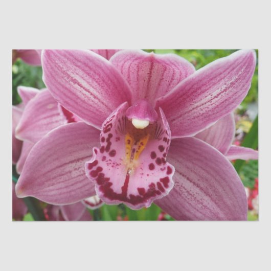 Lila Orchid Elegante Seidenpapier (Vorderseite)