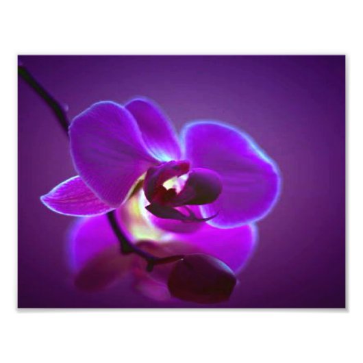Lila Orchid Fotodruck (Vorne)