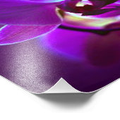 Lila Orchid Fotodruck (Ecke)